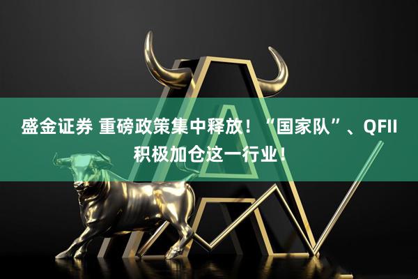 盛金证券 重磅政策集中释放！“国家队”、QFII积极加仓这一行业！